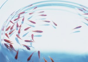 知识管理与业务融合的深度思考
